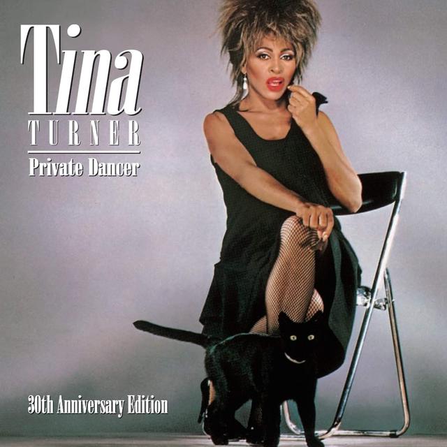 Once Upon a Time at the Top of the Charts: Tina Turner, “What’s Love Got to Do with It?”